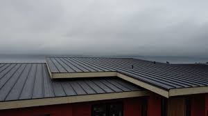 Sheet Metal Roofing in Las Flores, CA